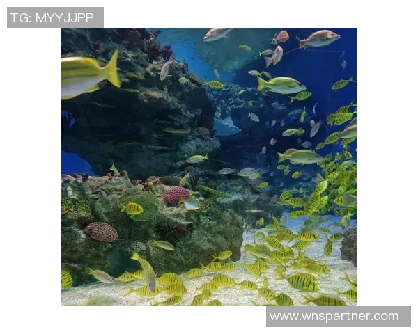 威尼斯风情,澳门人免费体验,水上浪漫之旅的梦幻启航 威尼斯风情,澳门人免费体验,水上浪漫之旅的梦幻启航